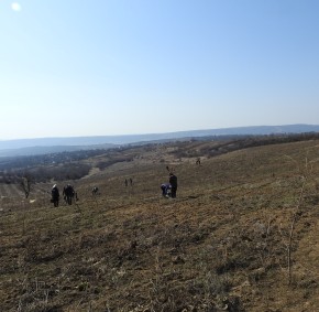 DSCN0853