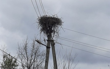 ȘOLDĂNEȘTI