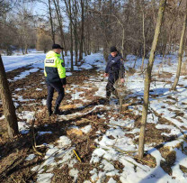 Operațiunea de Contracarare a Tăierilor Ilicite Dezvăluie Caz de Jefuire a Pădurilor din Văsiliuți Știubeieni și Ciubară