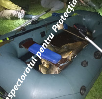 Braconaj piscicol stopat pe Nistru: trei bărbați prinși în flagrant folosind curent electric