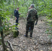 494 de arbori distruși în timpul evacuării masei lemnoase la Fălești