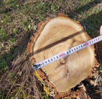 Razii ale inspectorilor de mediu în raionul Florești