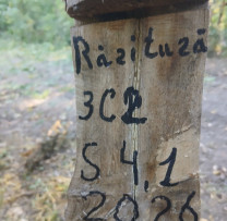 Lucrări silvice efectuate în baza unui bilet silvic expirat, depistate de inspectorii din Soroca