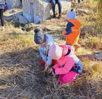 Elevii Gimnaziului Gura Camencii, Eroi ai Ecologiei: Plantare de Arbori pentru Protejarea Râulețului Camenca
