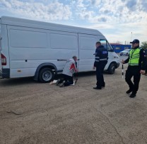 CAZURI DE EXPLOATARE A VEHICULELOR CARE EMIT UN NIVEL EXCESIV DE GAZE TOXICE ÎN ATMOSFERĂ.