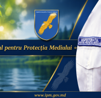 Sinteza IPM: Acțiuni de control, prevenire și informare