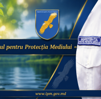 Sinteza IPM: Retrospectiva săptămânii – Acțiuni pentru protecția mediului și combaterea încălcărilor