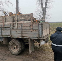 Inspectorii de Mediu din Briceni Combat Transportul Ilegal de Lemn