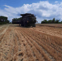 Inspectorii de mediu și Direcția Agricultură Șoldănești se unesc pentru protejarea mediului în timpul recoltării cerealelor