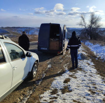 INSPECTORII DE MEDIU DIN RÎȘCANI AU DEPISTAT TĂIERI ILEGALE DE ARBORI
