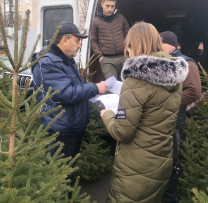 Verificarea legalității comercializării brazilor și combaterea tăierilor ilegale în Soroca