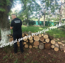 Razii și controale de mediu în raionul Glodeni: încălcări depistate și sancționate de inspectorii de mediu