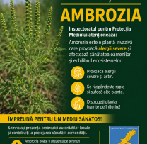 Inspectoratul pentru Protecția Mediului continuă acțiunile de combatere a ambroziei