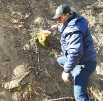 Tăieri ilegale de arbori depistate la Cosăuți: prejudiciu pentru mediu, sancțiuni pentru făptuitori
