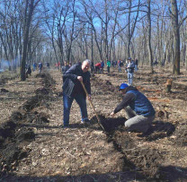Inspectorii de mediu din Orhei, implicați în extinderea fondului forestier de stat