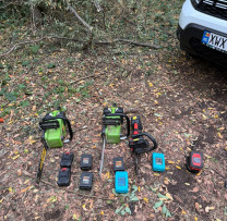 Patru persoane depistate în flagrant în timp ce efectuau tăieri ilegale de arbori în raionul Ocnița