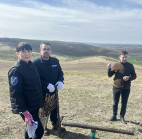 Programul Național de Extindere și Reabilitare a Pădurilor în Hîncești.