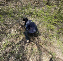 Tăieri ilicite și depozitări neautorizate de deșeuri depistate de inspectorii de mediu din Florești