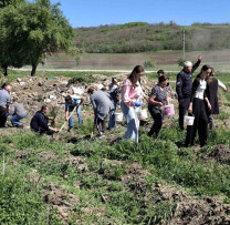 „Pădurea Curată” la Șoldănești