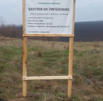 Generația  Pădurii