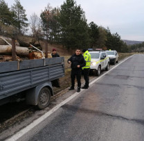 Acțiuni Concertate împotriva Tăierilor Ilicite de Lemn în Nisporeni: Inspectorii de Mediu și Forțele de Securitate Iau Măsuri Ferme