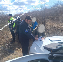 Transport ilegal de masă lemnoasă depistat de inspectorii de mediu din Nisporeni