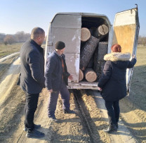 Transport ilegal de lemne depistat de inspectorii de mediu în Ocnița