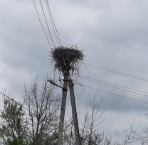 PROBLEME LEGATE DE MEDIU LA ȘOLDĂNEȘTI
