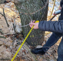 INSPECTĂRI ÎN MAI MULTE LOCALITĂȚI ALE RAIONULUI DONDUȘENI