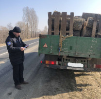 Inspectorii de mediu din Orhei combat arderea ilegală a biodeșeurilor
