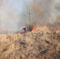 Siguranța Mediului în Pericol: Arderea Vegetației Uscate în Zona de Protecție a Râulețului Ciorna