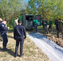 Popularea râului Prut cu crap
