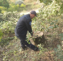 Inspectorii de mediu  din Căușeni investighează tăierile neautorizate și furtul de lemn
