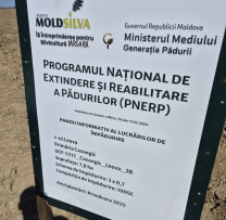 Campania „Generația Pădurii” continuă în raionul Leova